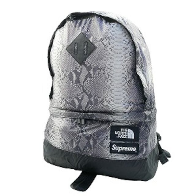 Supreme north face snakeskin day pack