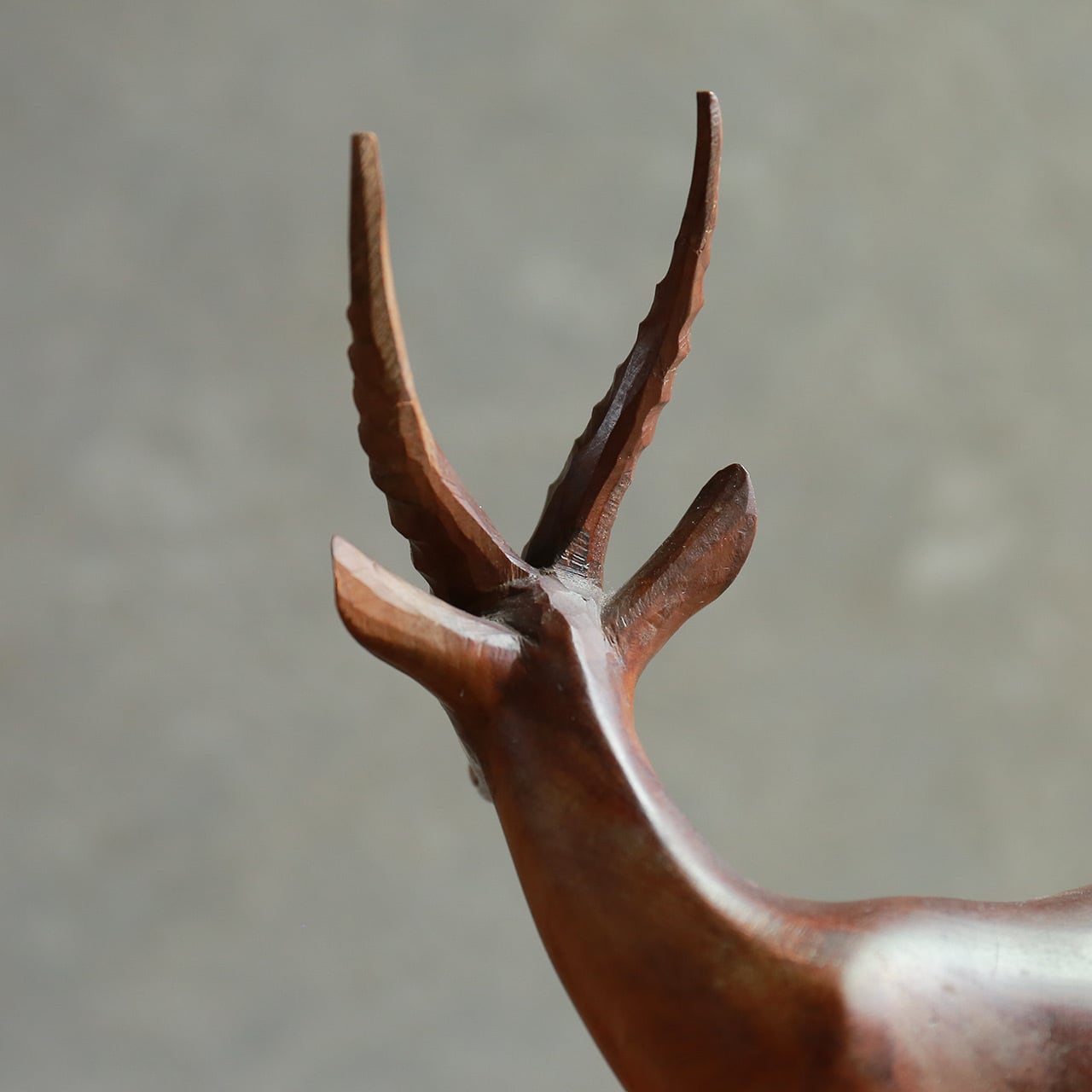 ご成約品】力強く、迫力のあるイノシシ・立派な角を持つ、オスのシカ 2