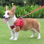 予約 ペットグッズ 夜光ハーネス リードセット 夜のお散歩も安心 安全 犬 猫 反射 光る メッシュ 通気性 涼しい 快適 ずれにくい おしゃれ さんぽ cw-a-6667