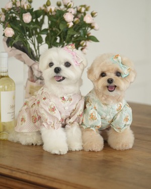 即納 【cheese n mood】 ローレンワンピース (pink)