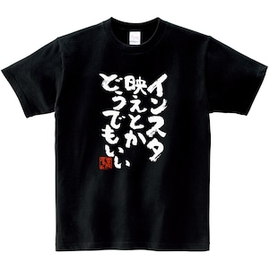 インスタ映えとかどうでもいい ka300-13 おもしろtシャツ 漢字 文字 メッセージTシャツ