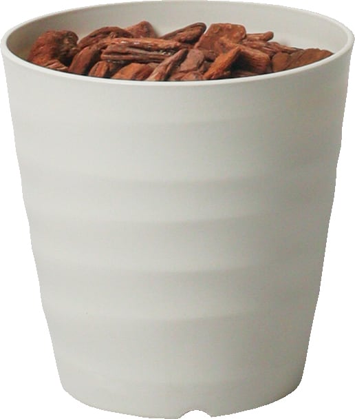 １３０ＣＭシェフレラアンガスティポット　その他　GLPS-1532IVL　4961823436772　造花（アーティフィシャルフラワー） > 観葉植物