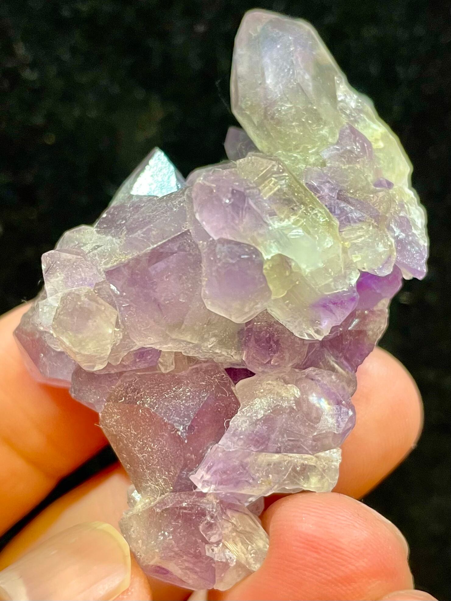 1) New!「アメジスト」