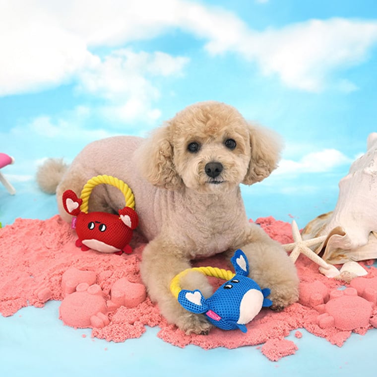 crap mash rope toy 2color / 犬 おもちゃ 音が鳴る ロープ 噛む 鳴き笛入り キャッチ トイ 可愛い 犬用おもちゃ ストレス解消 遊び 留守 韓国 ペット用品 小型犬 中型犬