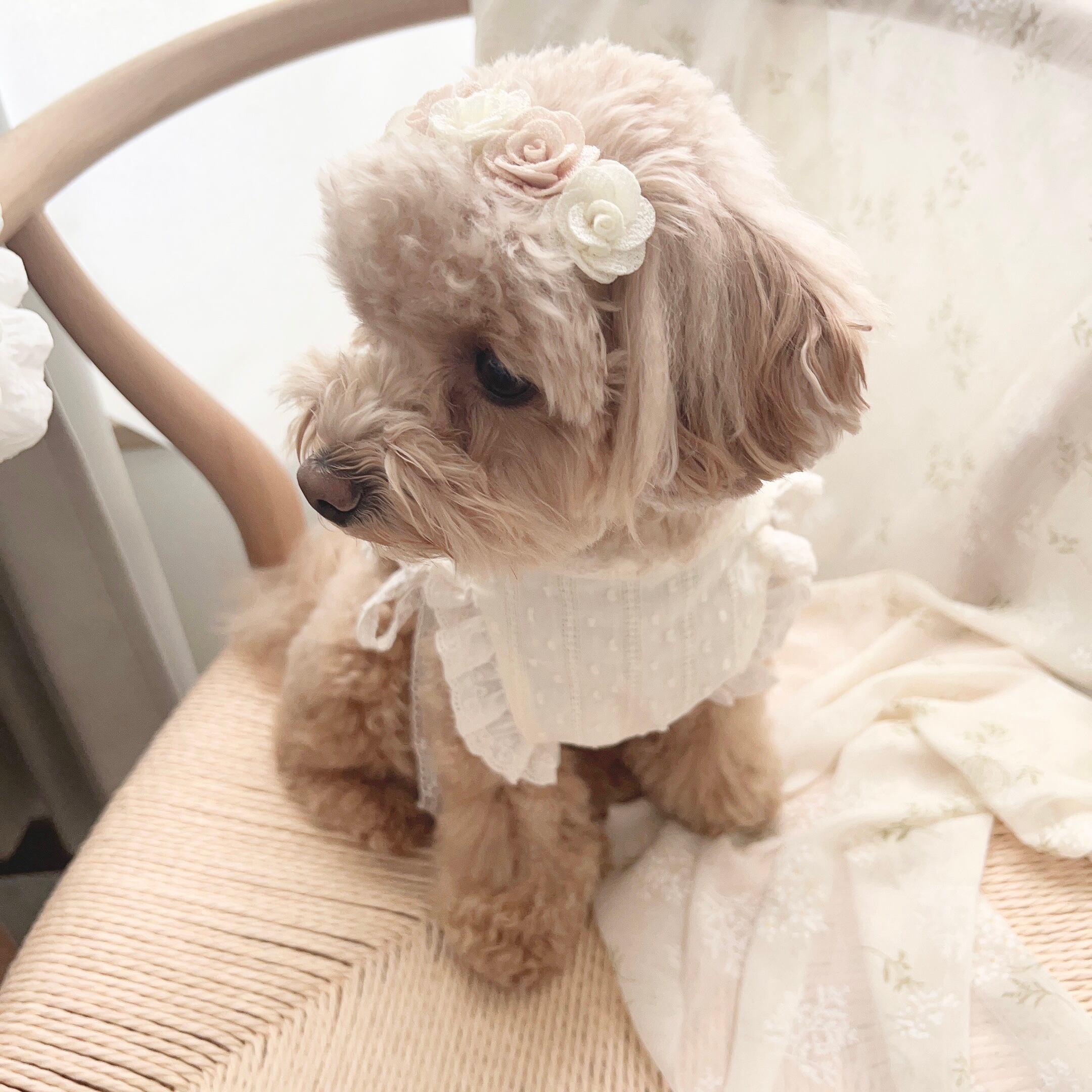 淡色お花のリボンのヘアバンド