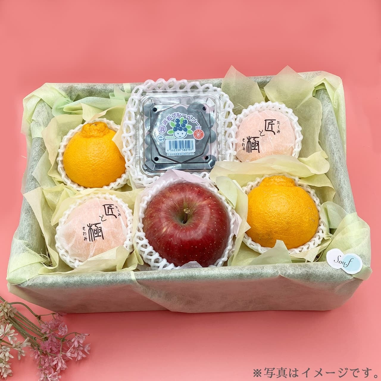 スタンダード詰め合わせ【sou.f】 | フルーツギフト sou.f