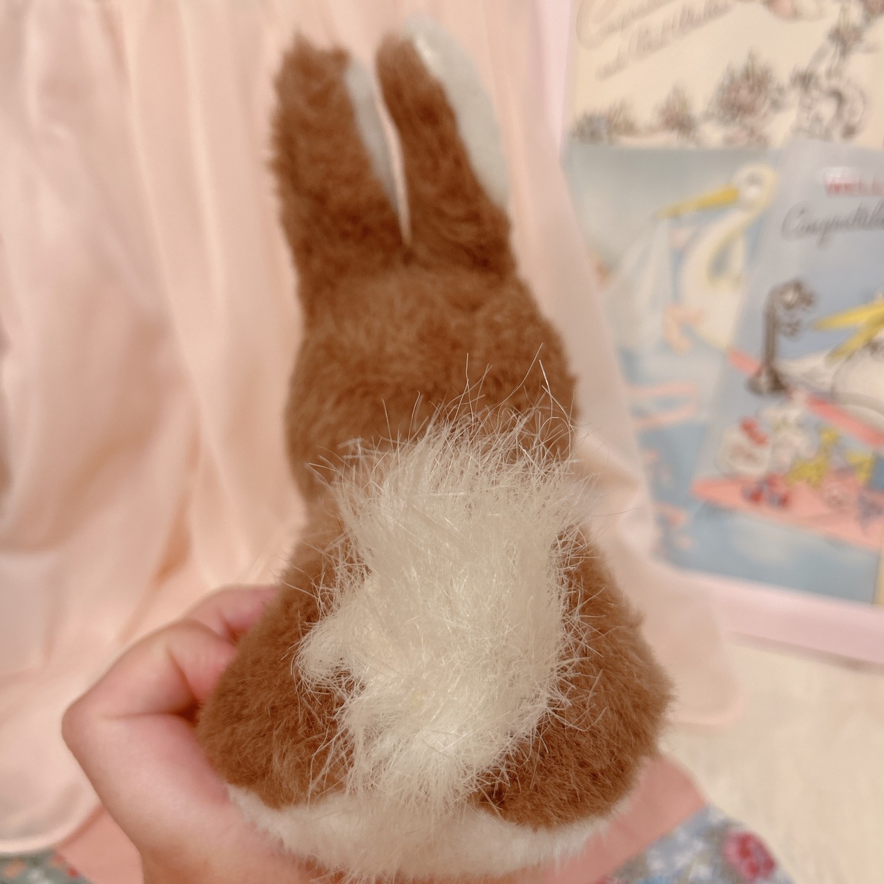 brown bunnyの画像04