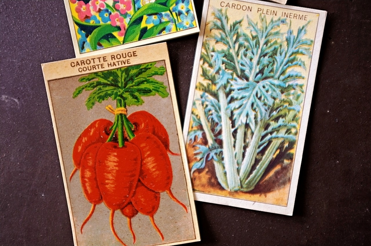 20s フランス 4set 膨満な花々と野菜たち 種子袋用ラベルo アンティーク
