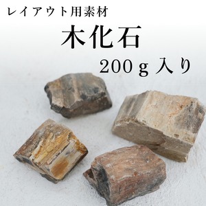 木化石　200ｇ入り【レイアウト用・着生用】