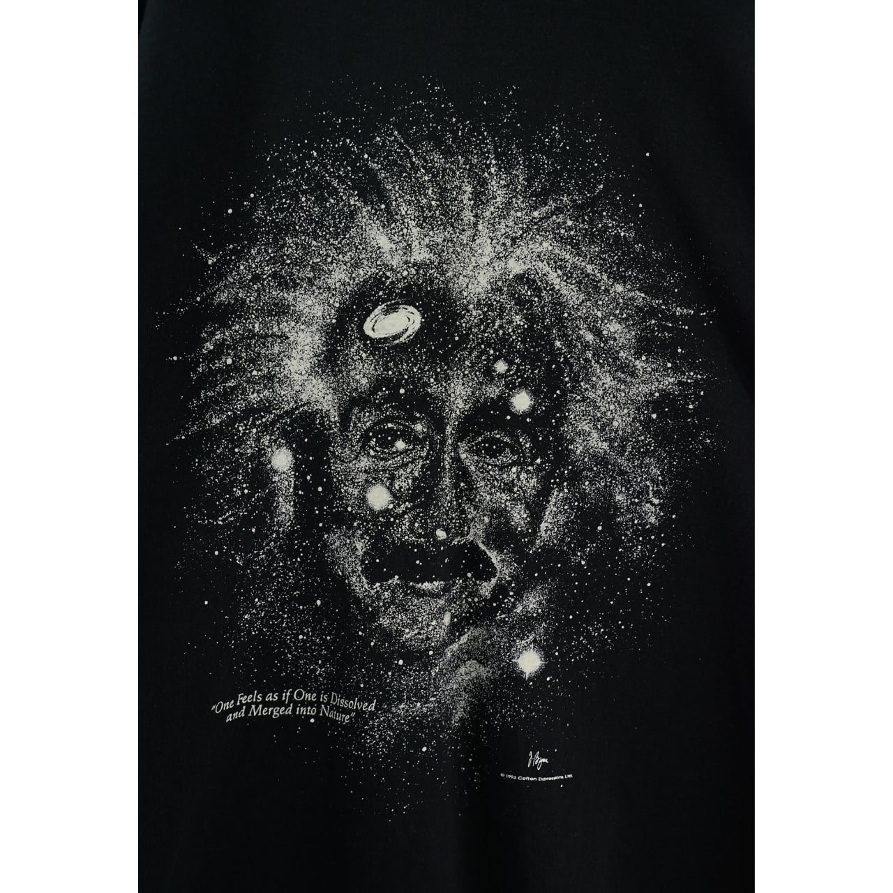 1993 Cotton Expressions アインシュタイン 蓄光 銀河フォトTシャツ L