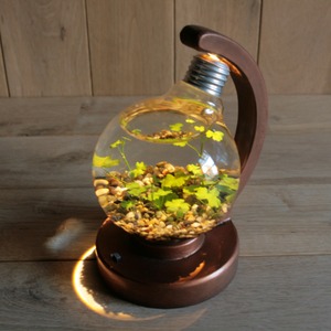 bulb terrarium ball [warm]