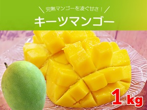 キーツマンゴー約1キロ（1～2玉） 沖縄県産 完熟マンゴーを凌ぐ甘さ