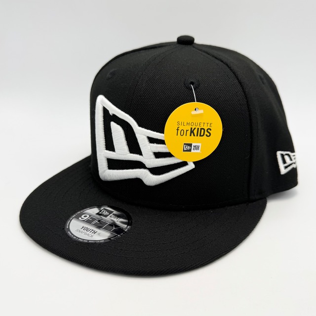 【キッズ 】Youth NEW ERA 9FIFTY/950  YOUTH  NE FLAG B YOUTH