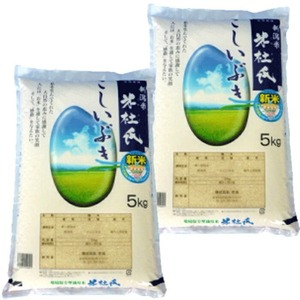 数量限定★お米マイスター厳選１等米★ 令和6年産 新潟県産こしいぶき 10kg (5kgx2) 米杜氏（特別栽培米）白米 精米 新潟 コシイブキ 新潟県産 こしいぶき 新潟ブランド米 産地直送米 低温倉庫管理米 精米仕立て