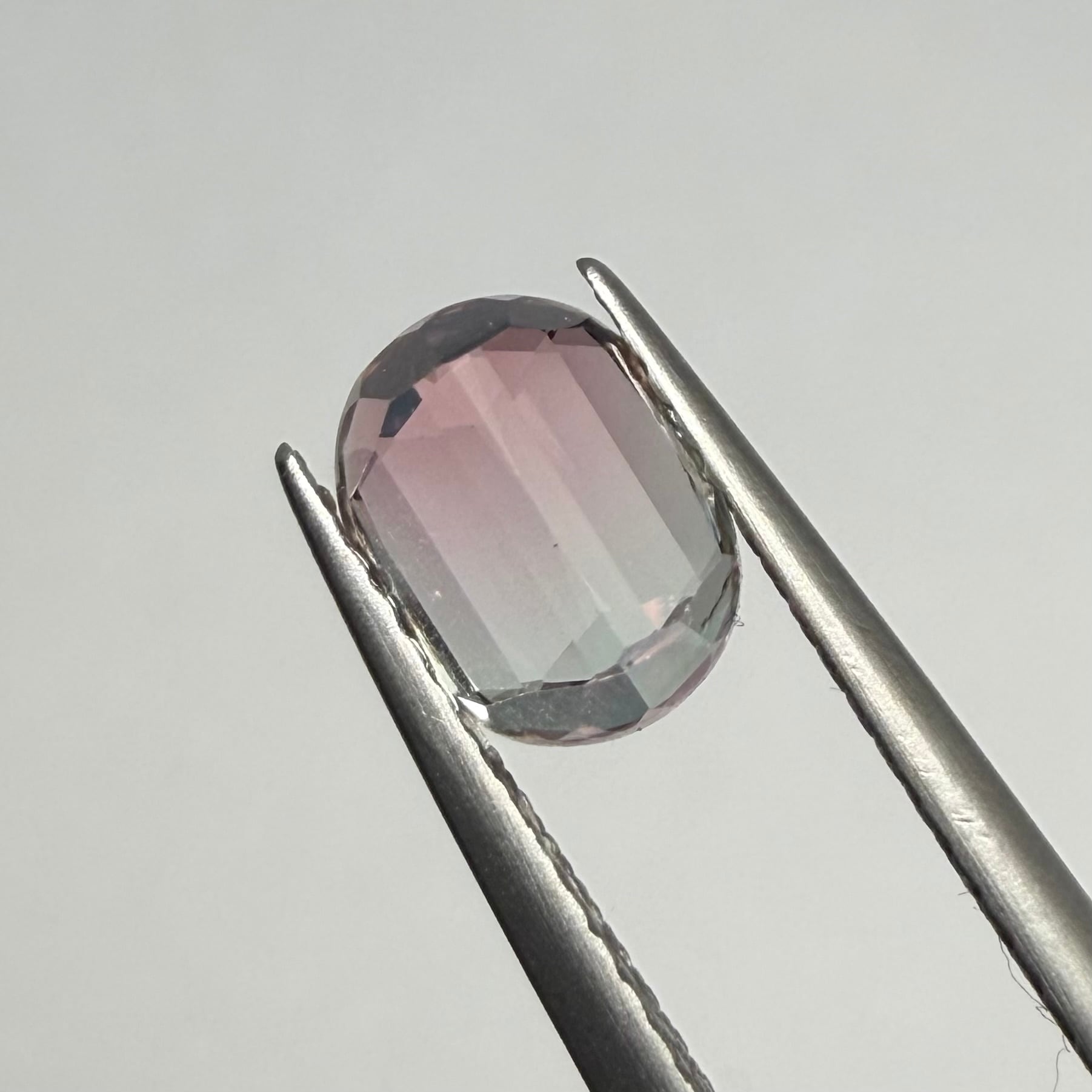 春待ちパーティカラートルマリン