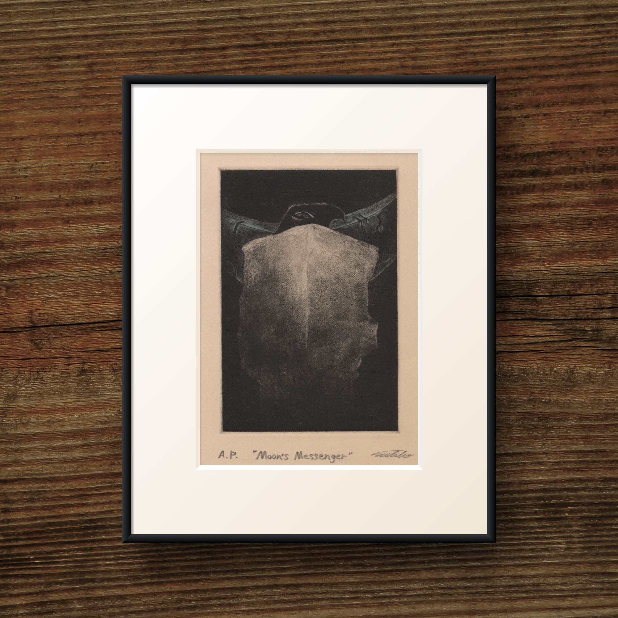 Moon's Messenger (2015)