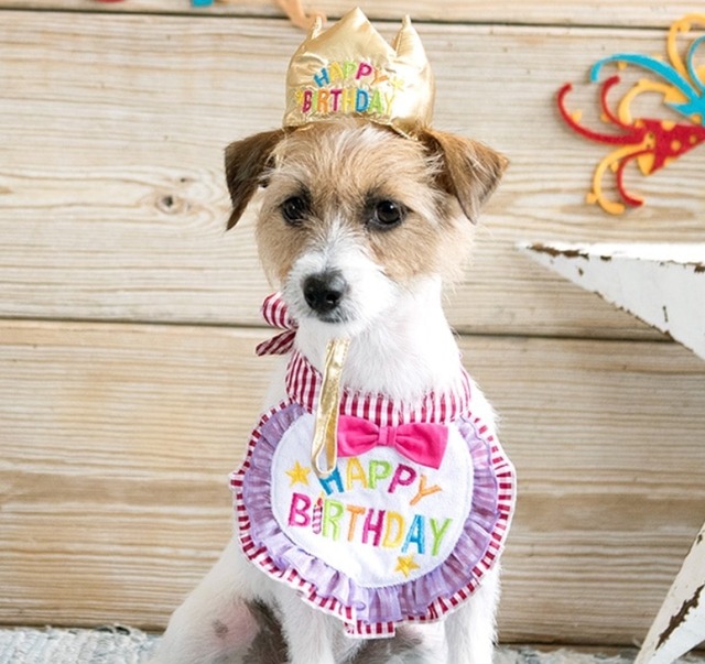 犬用スタイ　ハッピースタイ [サイズ: S]