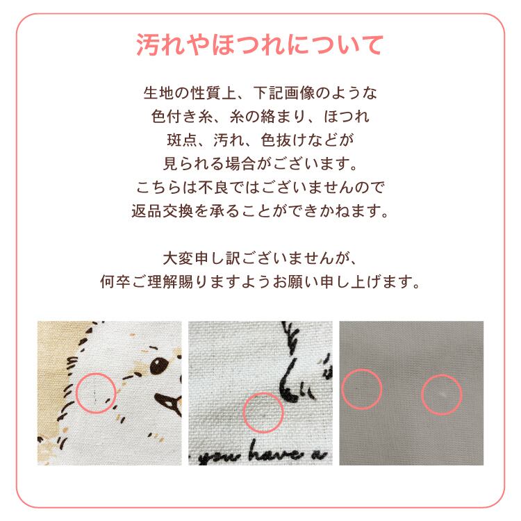 お散歩 ミニ トートバッグ ショルダー 2way ロイお散歩NV 57605 犬