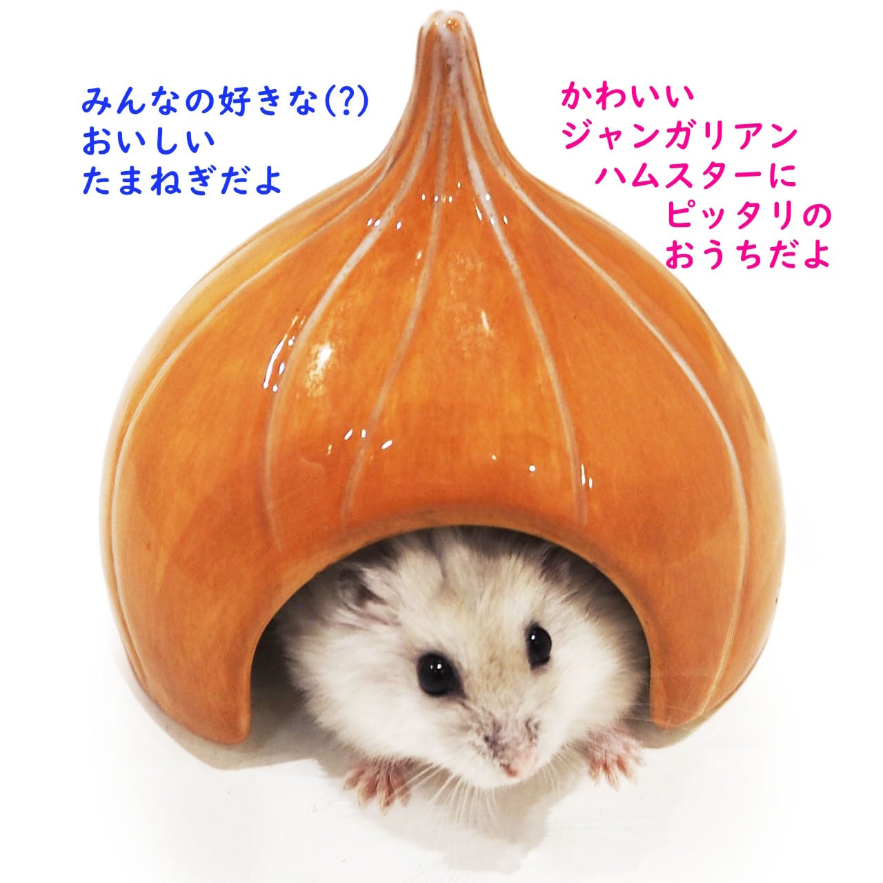 【小動物】ジャンガリアンのカラフルドーム タマネギ