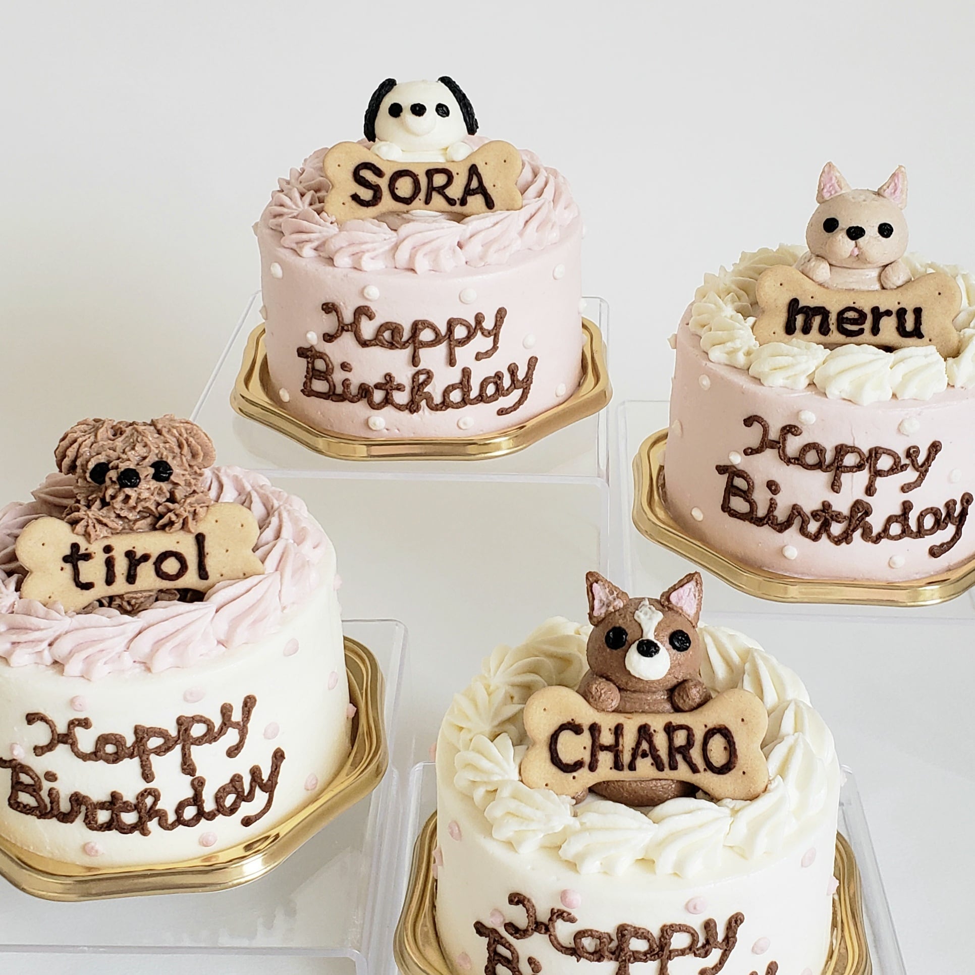 ワンちゃん乗せバースデーケーキ(9cm) | Party Dog