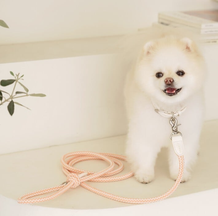 即納【stroll】Rope Collar (Coral)