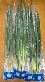 九条ねぎ 100g 5本 | 京都知七SHOP