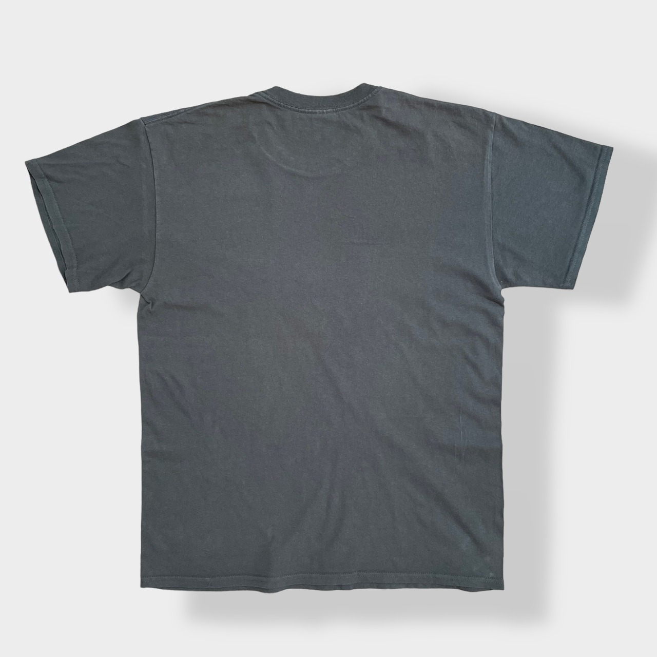 【GILDAN】プリント Tシャツ 人物 顔 アフロ 半袖 LARGE ブラウン us古着