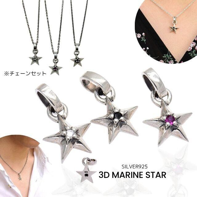 シルバーアクセサリー ペンダントトップ チェーンセット | ウイング