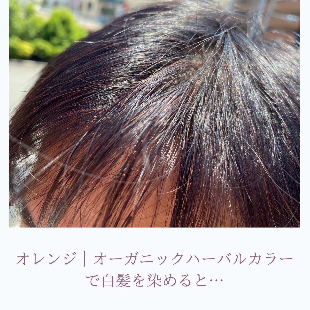 ヘナ初心者セット】エクストラロング用 オーガニックヘアカラーセット