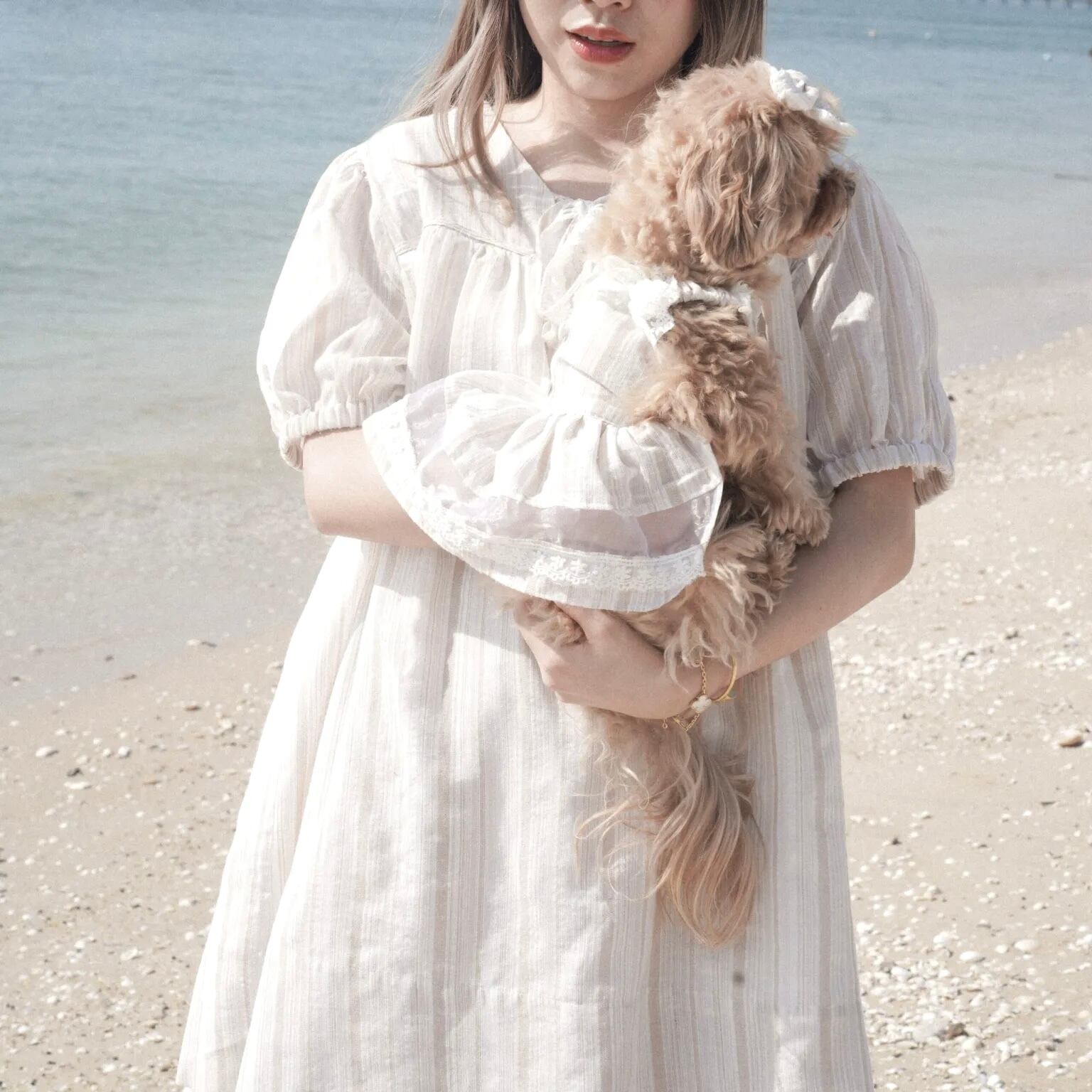 Sunkissed – Pet Dress〈size:XS-M＋〉