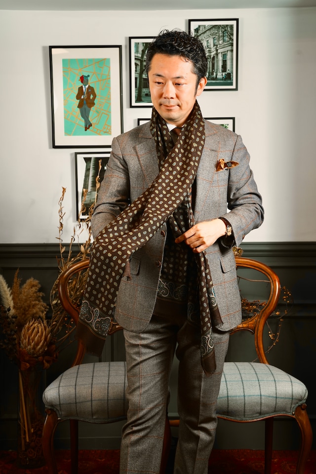 Men's scarf " paisley "Brown