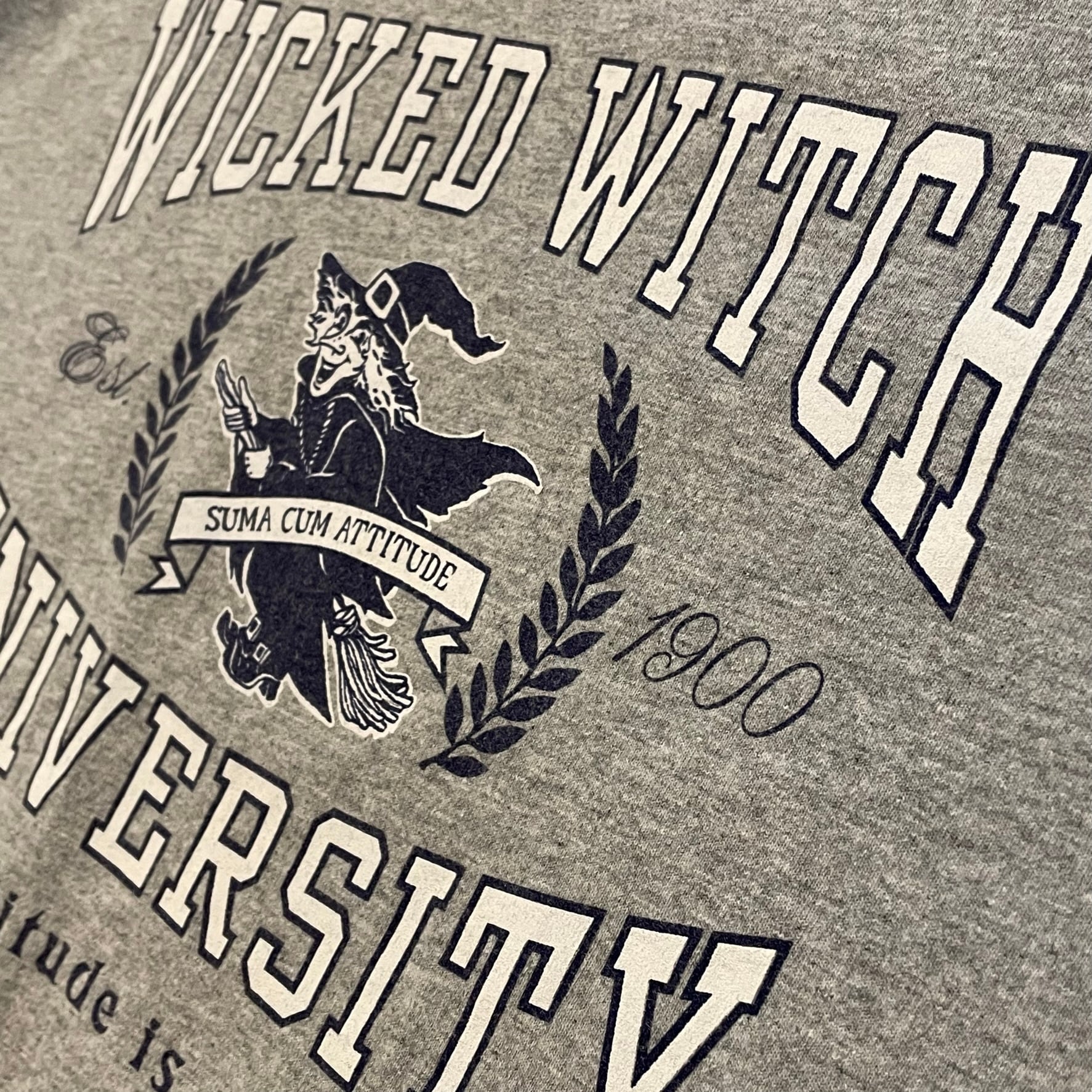 FRUIT OF THE LOOM】カレッジ風 ロゴ Tシャツ wicked witch university