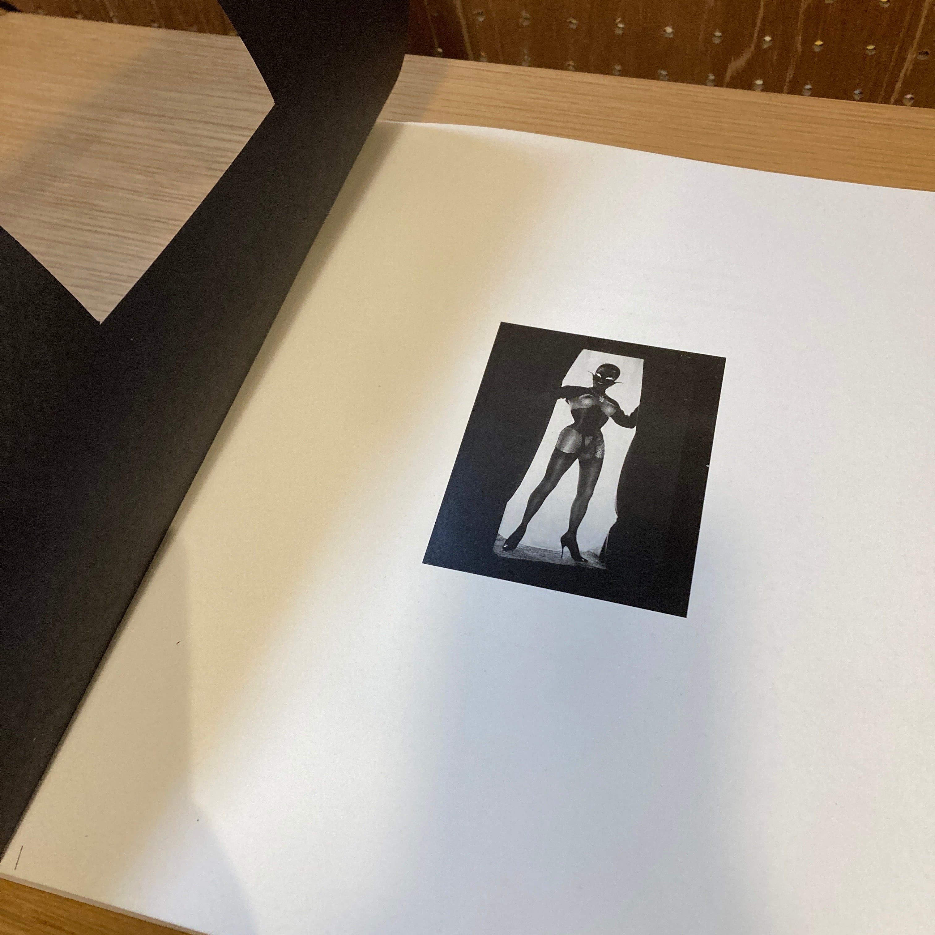 Der Schamane und Seine Geschopfe / Pierre Molinier | 百年