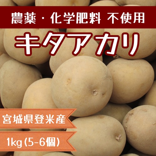 じゃがいも(キタアカリ) 1kg