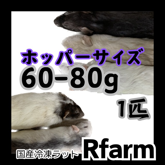 冷凍ヤワゲネズミ プチラット29~62g14匹AA 冷凍ヤワゲ 約50g 1匹