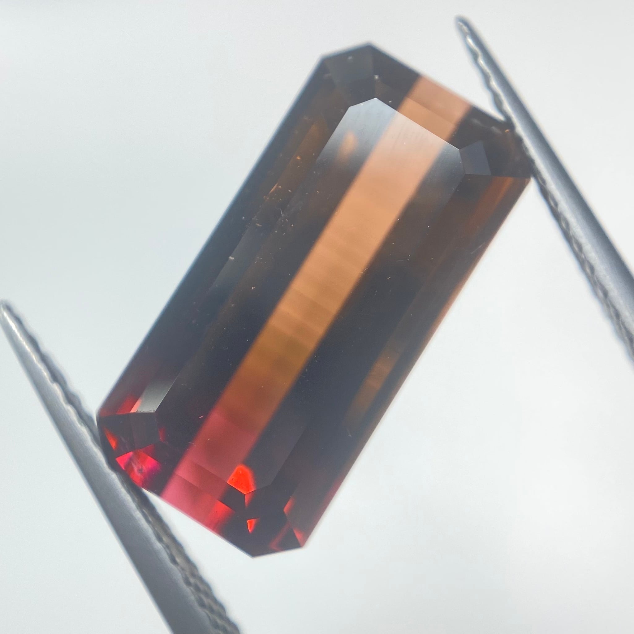 紅葉 バイカラートルマリン