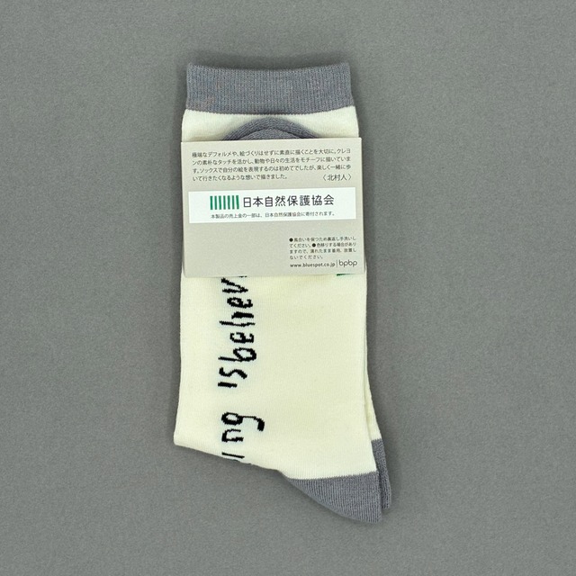 【JIN KITAMURA】北村人 SOCKS BLACK CAT ON BOOK ソックス 本の上の黒猫
