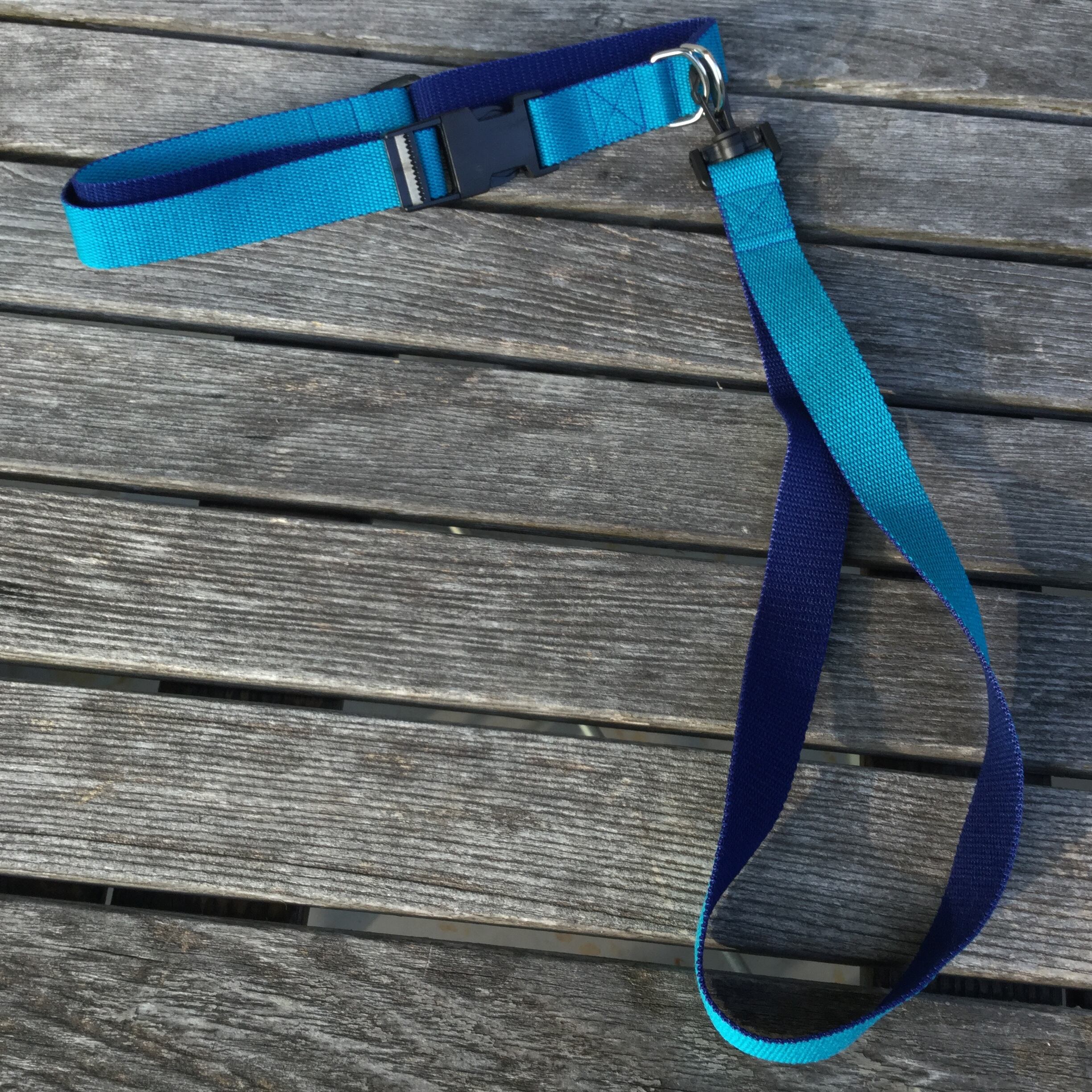 首輪とショートリード ライトブルー