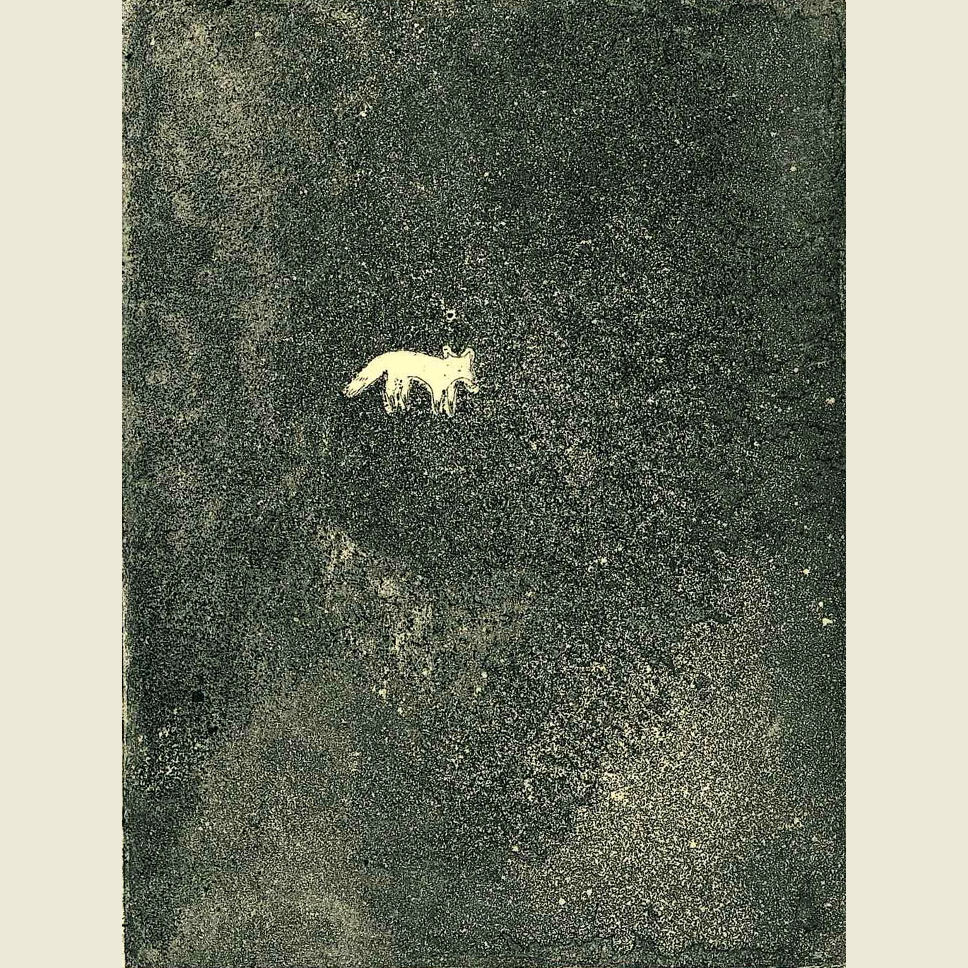 野原にキツネ（A fox in the field）