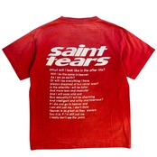 【SAINT MICHAEL】セントマイケル STT TEE YES Tシャツ S