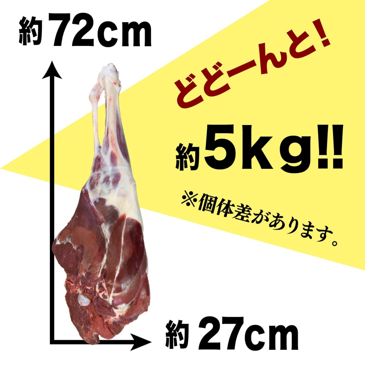 【送料無料】【北海道稚内産】エゾ鹿肉 骨付き腕 2本で5kg前後 冷凍orチルド