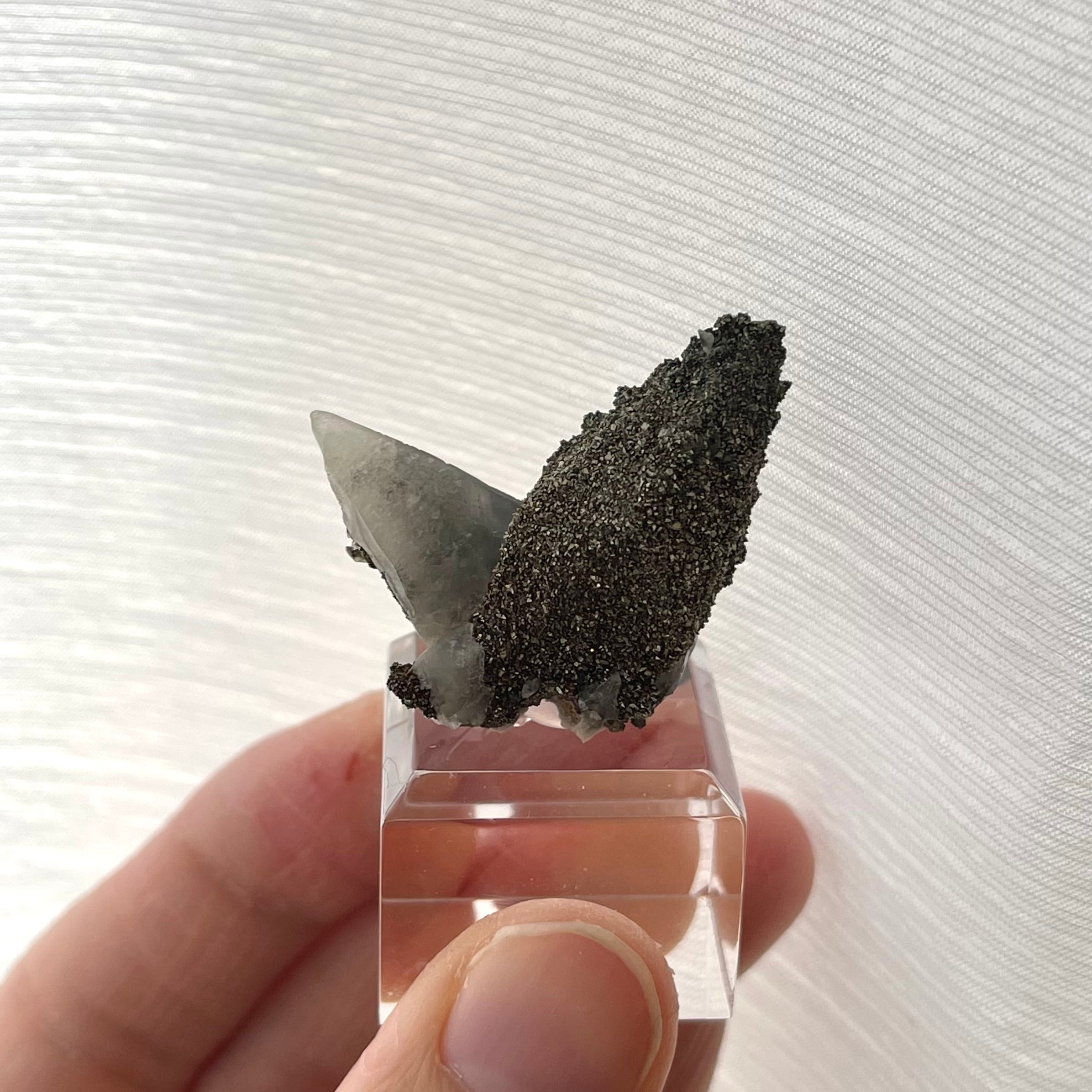 カルサイト / キャルコパイライト【Chalcopyrite on Calcite】アメリカ