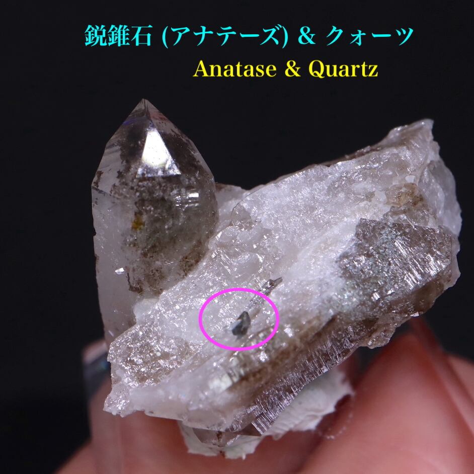 鋭錐石 & クォーツ アナテーズ 水晶 5,1g QZ224 鉱物　原石　天然石　パワーストーン