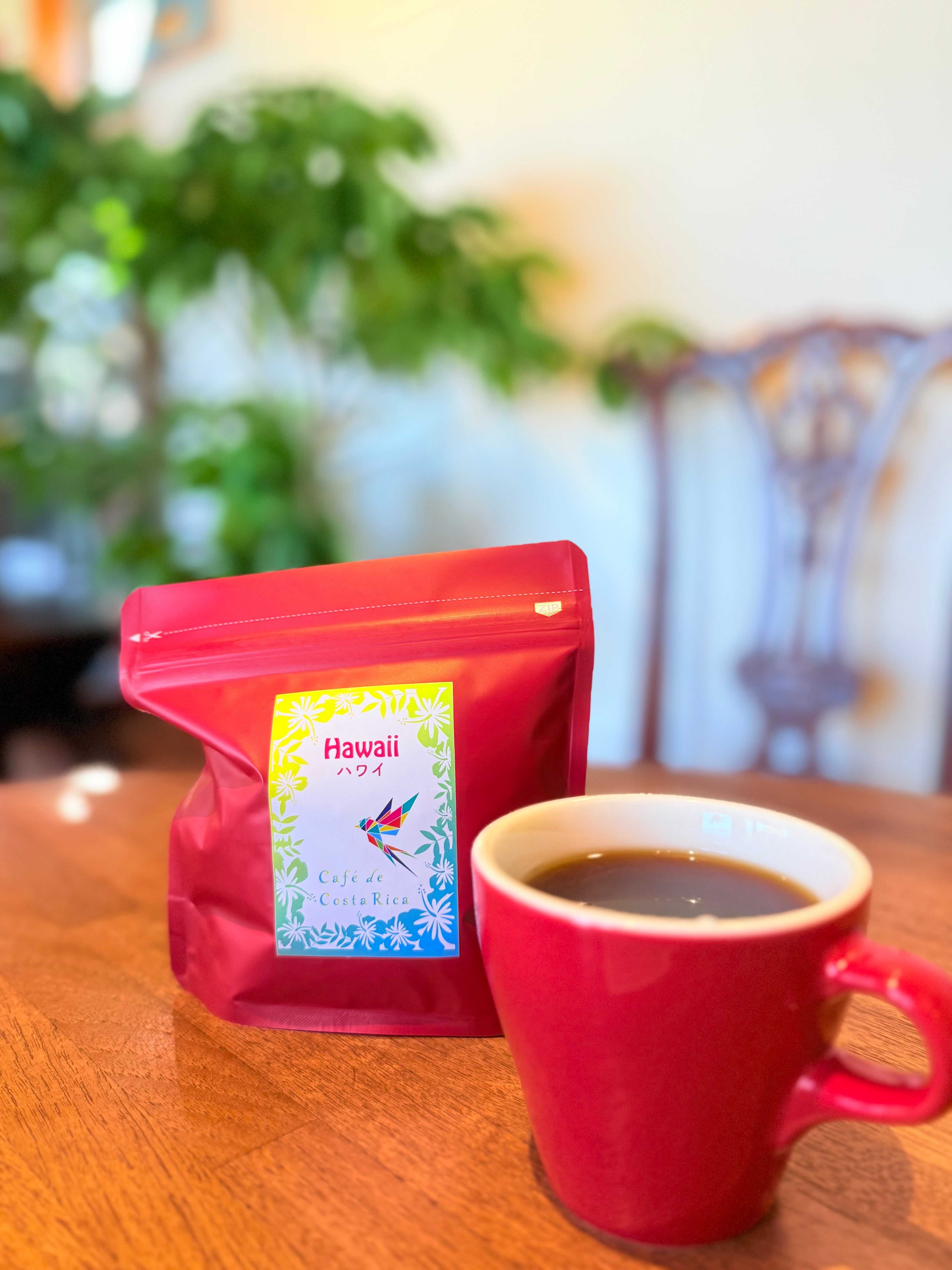 ハワイ／コナ・EXファンシー100%(100g) | Café de Costa Rica カフェデ