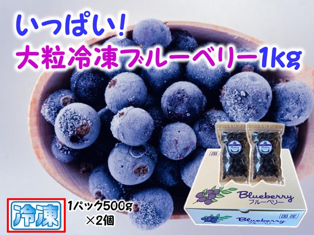 【大粒】冷凍ブルーベリー １ｋｇ（フリーザーパック500ｇ×2個）