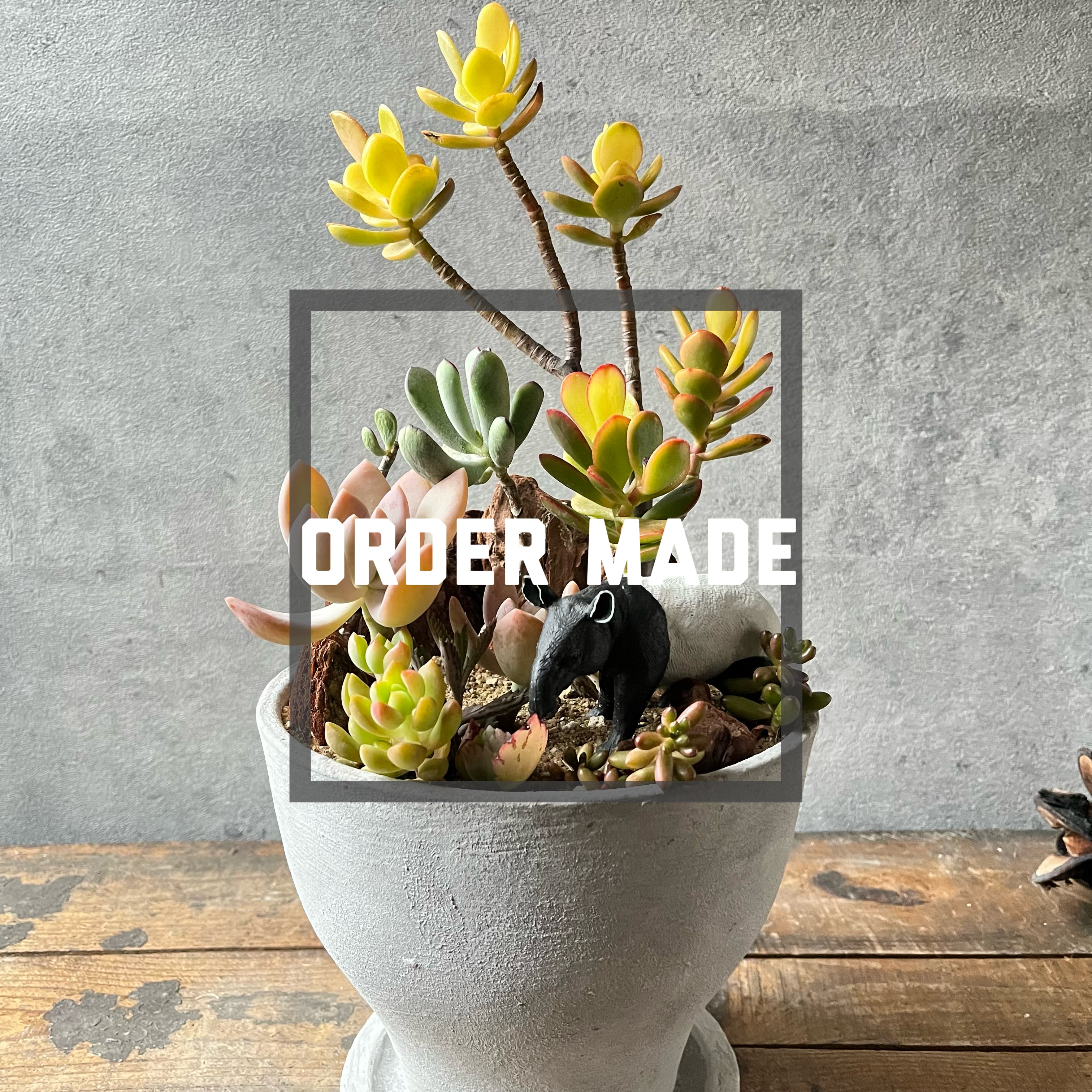 order made 佐野さま専用 | SABOTEN MISSILE