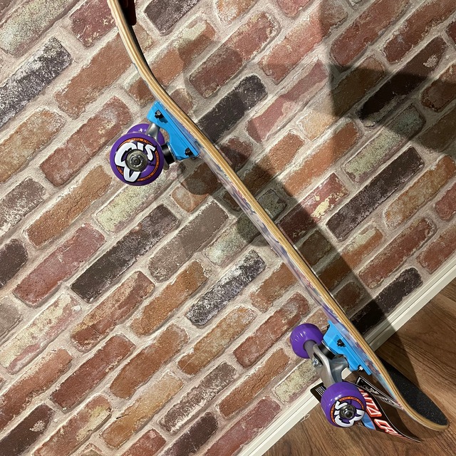 【SANTA CRUZ】FLORAL DECAY HAND MINI 7.75