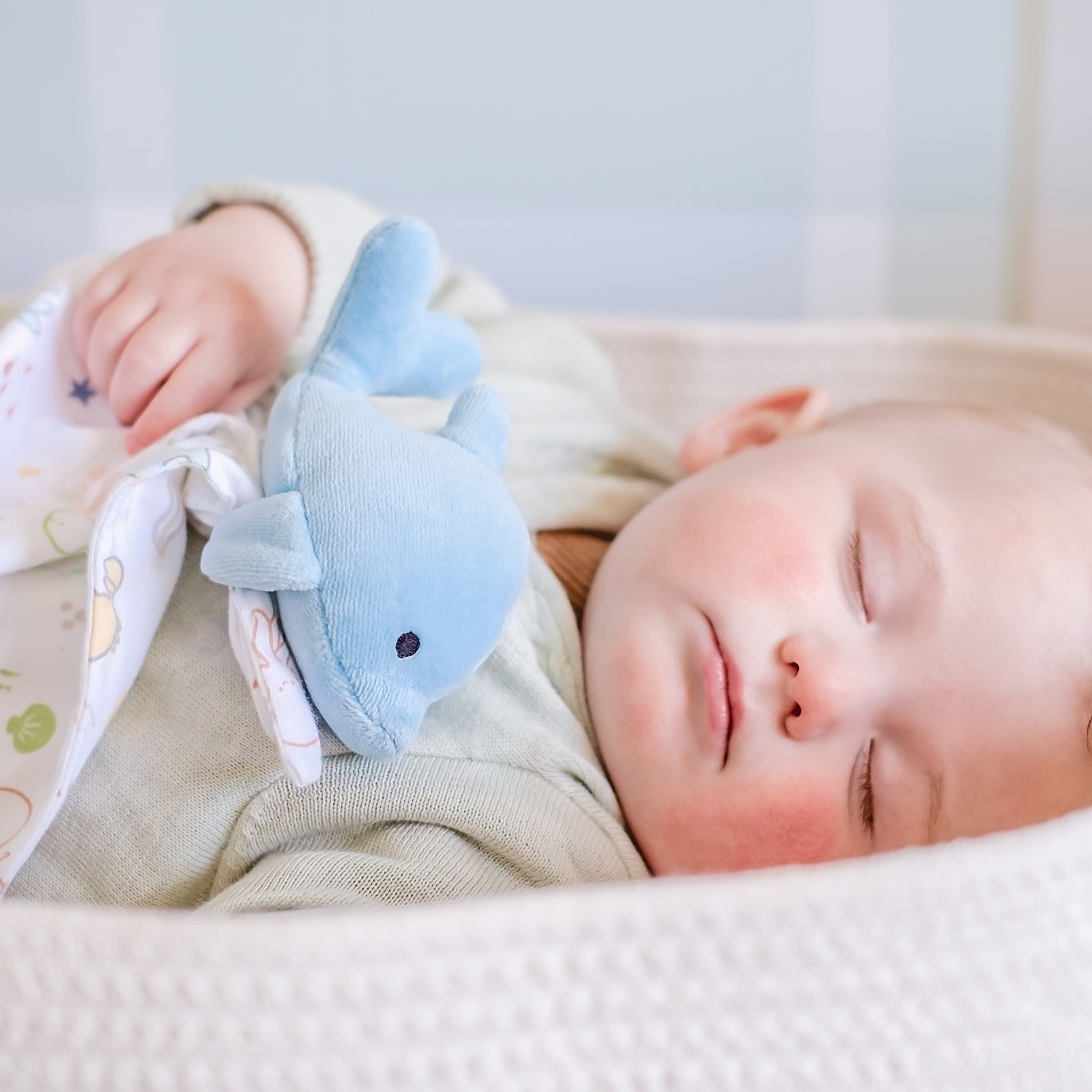 Dolphin Comforter_97206