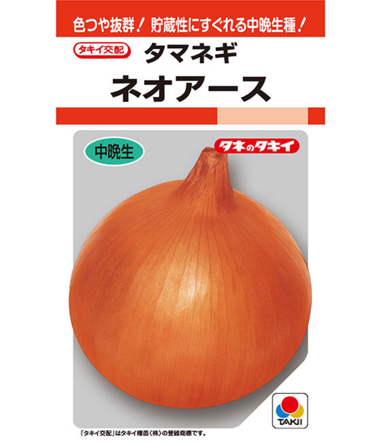 タマネギ「ネオアース」（P１万粒）・画像2