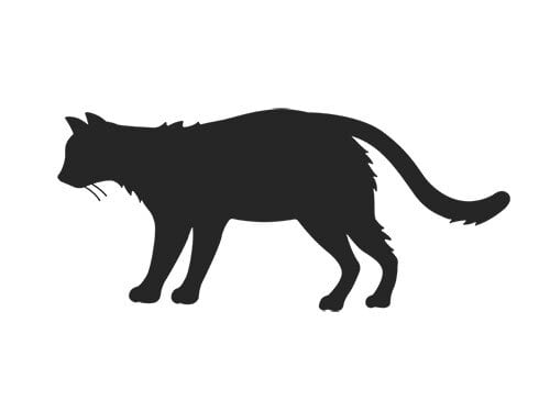 猫のシルエットのイラスト | イラストセンター有料素材販売
